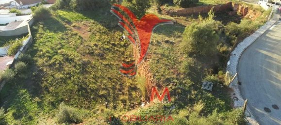 Terrain à Sao Bartolomeu de Messines, Portugal 3050m² No. 73525 5