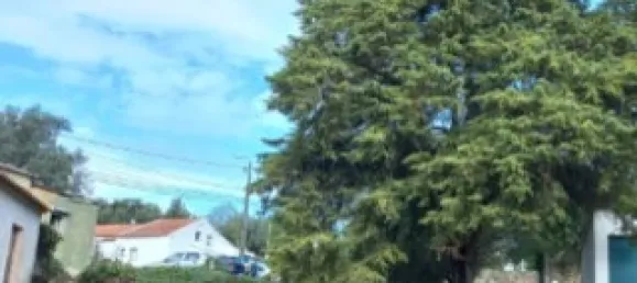 Casa de 4 dormitorios en Sintra, Portugal No. 118269 4