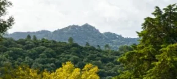 Casa de 4 dormitorios en Sintra, Portugal No. 118269 16