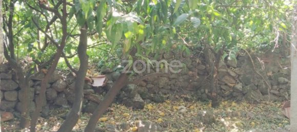 2 Schlafzimmer Haus in Sao Paio, Portugal, Nr. 277622 8