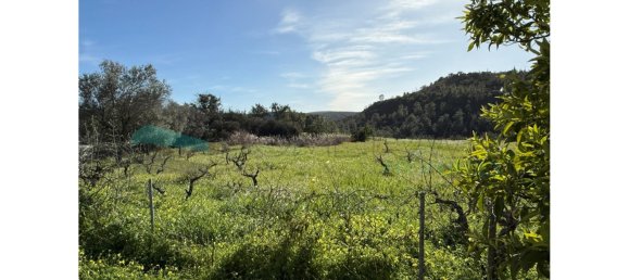 Land in Loule, Portugal No. 199123 2