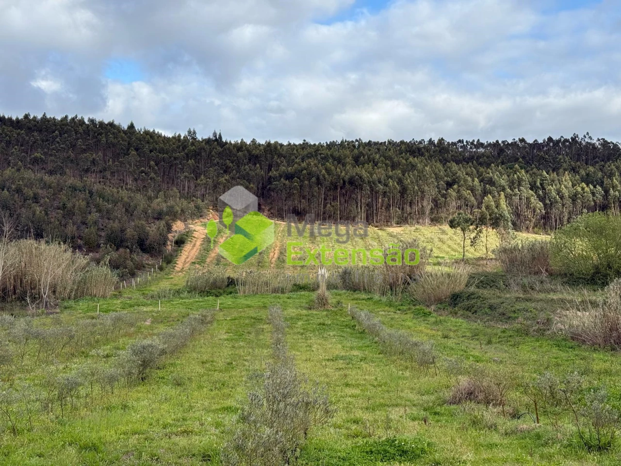  Land in Torres Vedras, Portugal No. 307614