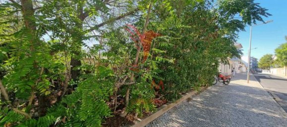 360m² Land in Vieira de Leiria, Portugal No. 72739 23