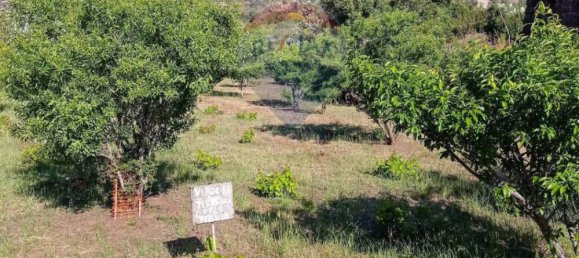 Grundstück in Pantelleria, Italy 1875m², Nr. 286453 8