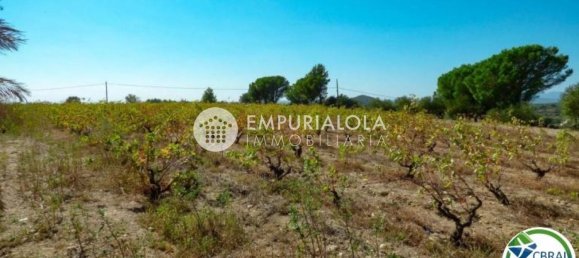 4 bedrooms House in Sant Climent Sescebes, Spain No. 169715 42