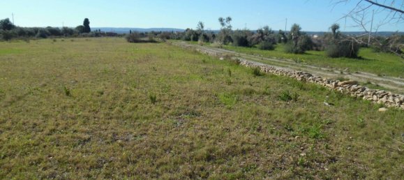 10500m² Land in Floridia, Italy No. 169800 5
