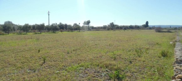 10500m² Land in Floridia, Italy No. 169800 4