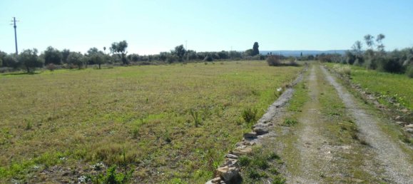 10500m² Land in Floridia, Italy No. 169800 10