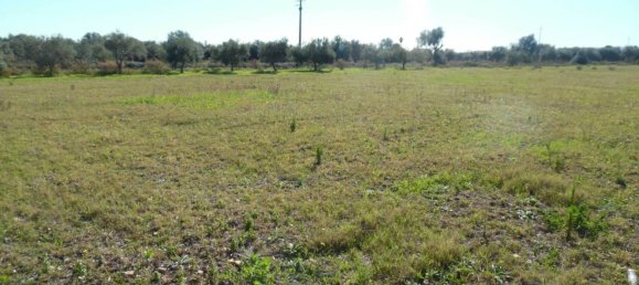 10500m² Land in Floridia, Italy No. 169800 2