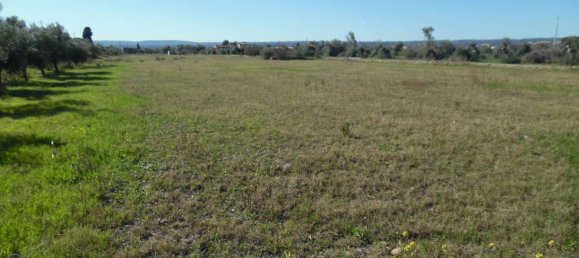 10500m² Land in Floridia, Italy No. 169800 11