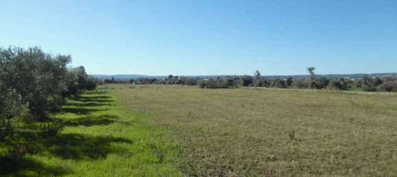 10500m² Land in Floridia, Italy No. 169800 9