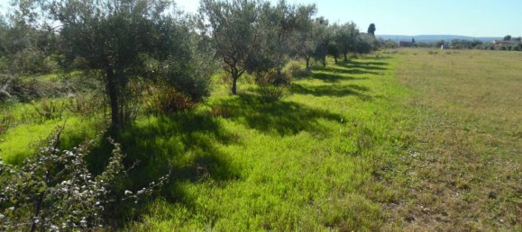 10500m² Land in Floridia, Italy No. 169800 7