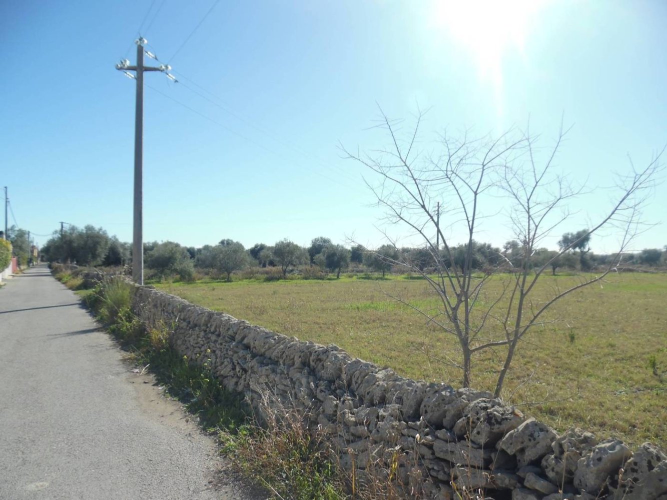 10500m² Land in Floridia, Italy No. 169800