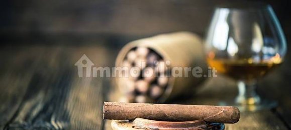 2غرفة عقار تجاري في Settimo Torinese, Italy رقم 101683 30