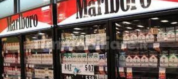 2غرفة عقار تجاري في Settimo Torinese, Italy رقم 101683 41