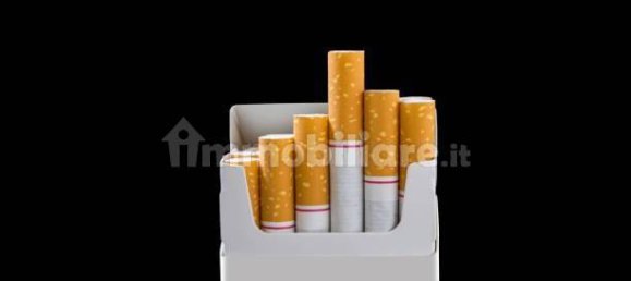 2غرفة عقار تجاري في Settimo Torinese, Italy رقم 101683 29