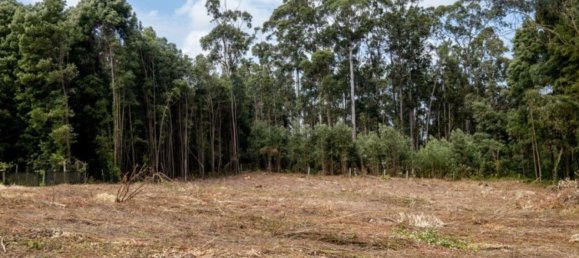 Grundstück in Sao Felix da Marinha, Portugal 7000m², Nr. 123078 18