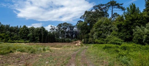 Grundstück in Sao Felix da Marinha, Portugal 7000m², Nr. 123078 4