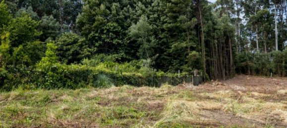 Grundstück in Sao Felix da Marinha, Portugal 7000m², Nr. 123078 22