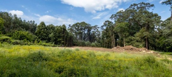 Grundstück in Sao Felix da Marinha, Portugal 7000m², Nr. 123078 20