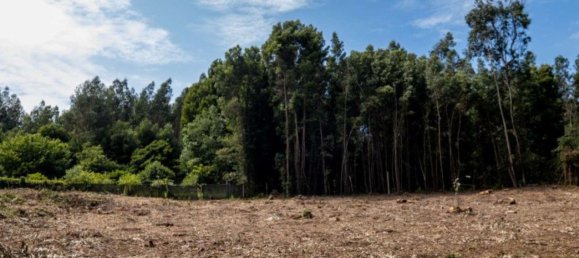 Grundstück in Sao Felix da Marinha, Portugal 7000m², Nr. 123078 2