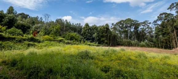 Grundstück in Sao Felix da Marinha, Portugal 7000m², Nr. 123078 19