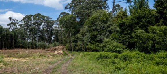 Grundstück in Sao Felix da Marinha, Portugal 7000m², Nr. 123078 5