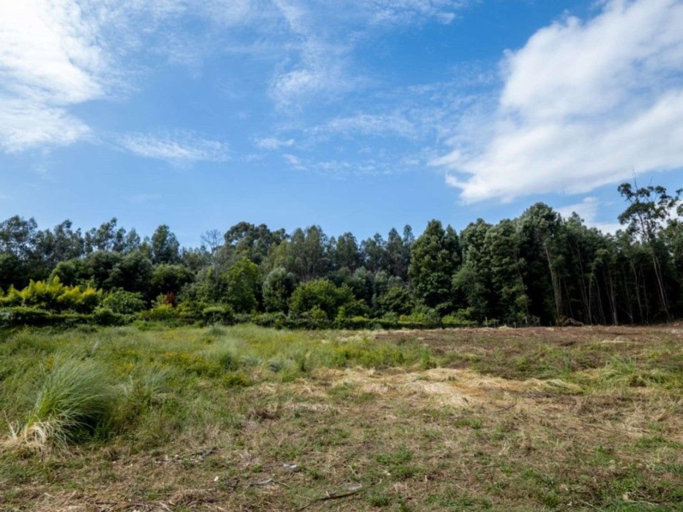 Grundstück in Sao Felix da Marinha, Portugal 7000m², Nr. 123078