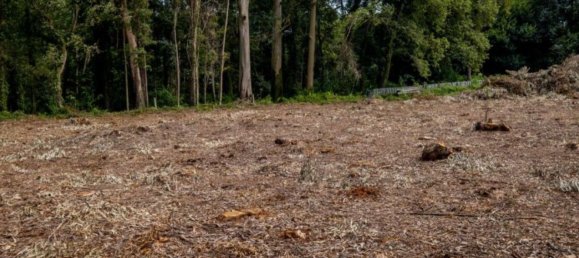 Grundstück in Sao Felix da Marinha, Portugal 7000m², Nr. 123078 13