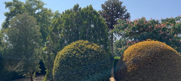 4-Zimmer Haus in Saint-Junien, France, Nr. 338084 13