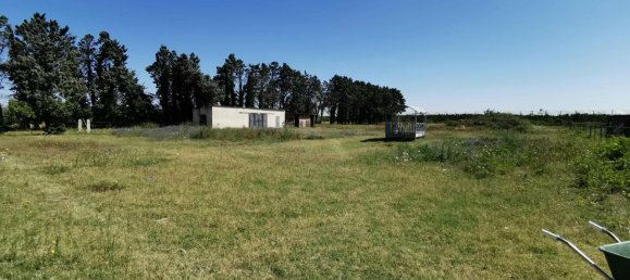 Villa de 3 dormitorios en Beaucaire, France No. 294493 15