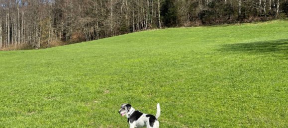 Casa de 7 divisões em Rosenheim, Germany N.º 147944 22