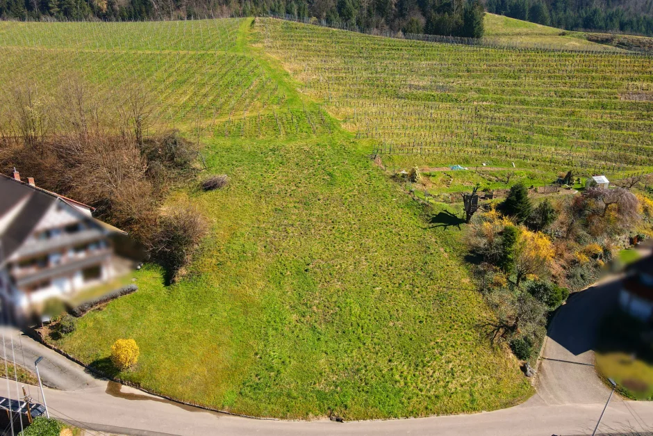  قطعة أرض في Ortenaukreis, Germany رقم 90024