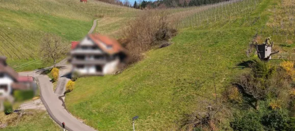  قطعة أرض في Ortenaukreis, Germany رقم 90024 4