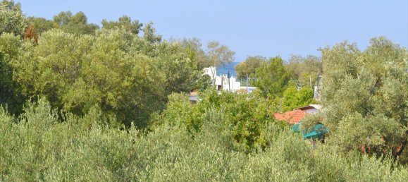 4 bedrooms Commercial property in Chalkidiki, Greece No. 6539 17