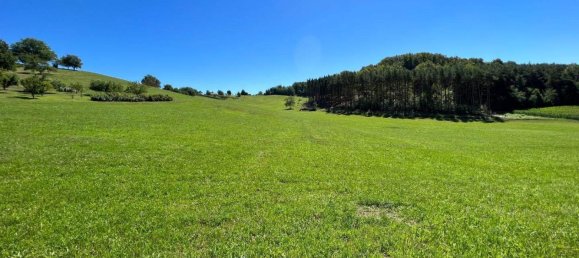  Land in Kleinmurbisch, Austria No. 167036 8