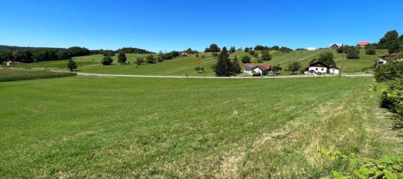  Land in Kleinmurbisch, Austria No. 167036 10