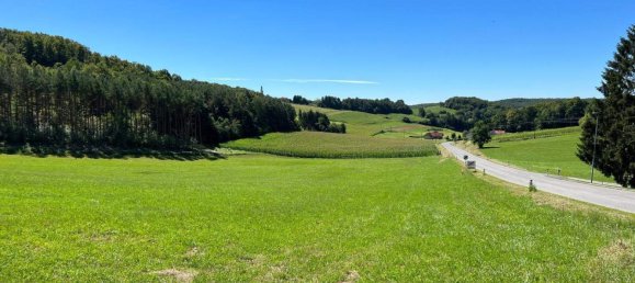  Land in Kleinmurbisch, Austria No. 167036 9