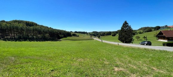  Land in Kleinmurbisch, Austria No. 167036 6