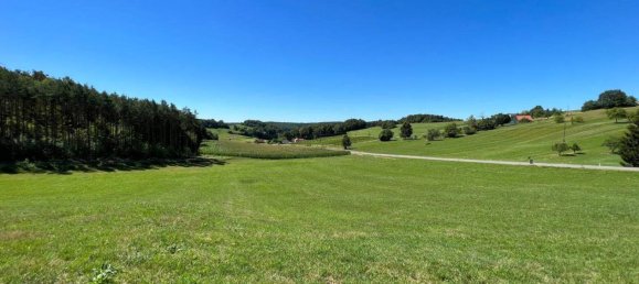  Land in Kleinmurbisch, Austria No. 167036 5