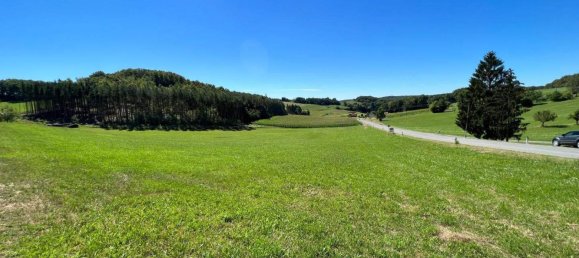  Land in Kleinmurbisch, Austria No. 167036 3