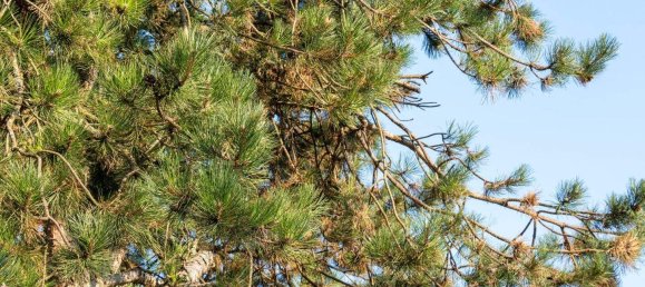  Land in Velden am Worther See, Austria No. 226364 11