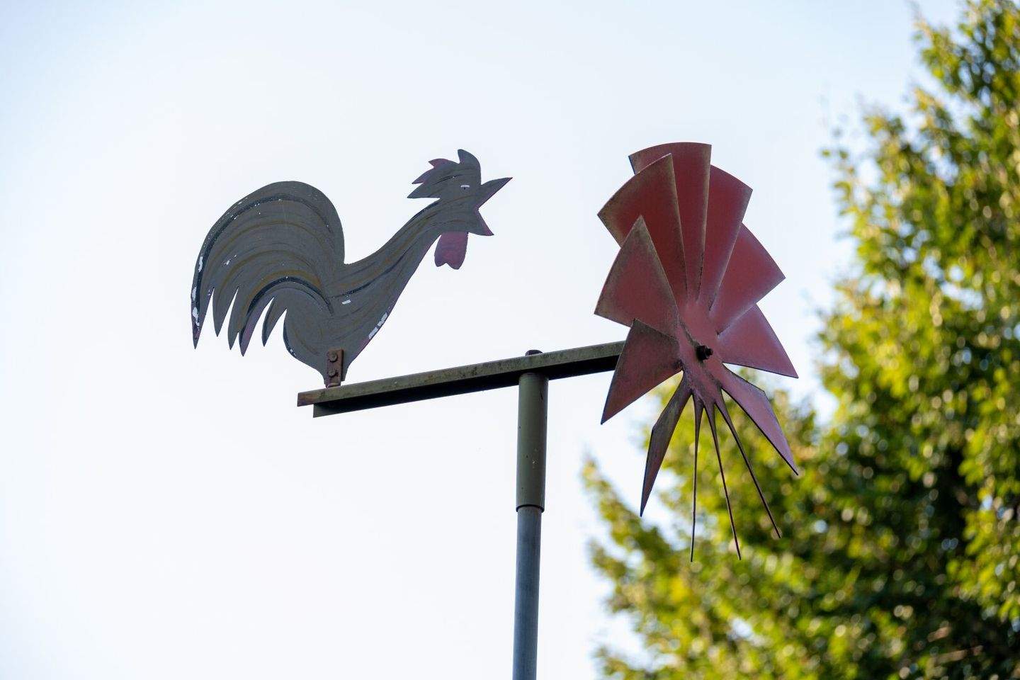  Land in Velden am Worther See, Austria No. 226364