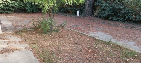 10 rooms House in Sant'Agata sul Santerno, Italy No. 173738 3