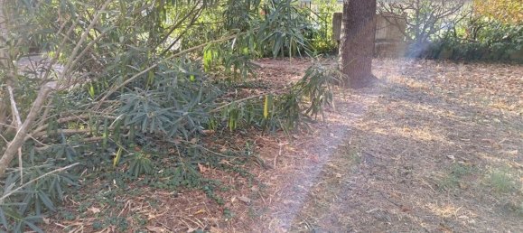 10 rooms House in Sant'Agata sul Santerno, Italy No. 173738 15