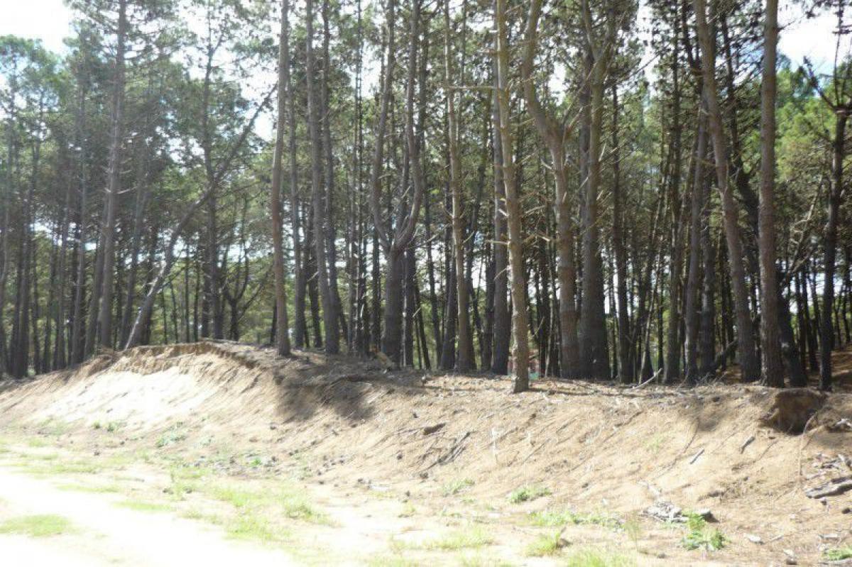  Land in Mar del Plata, Argentina No. 110569