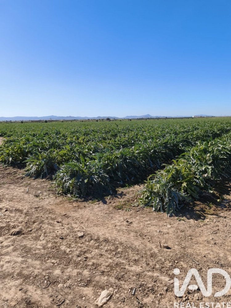 Коммерческая недвижимость в Ролдан, Испания № 291837