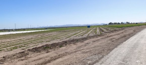 Коммерческая недвижимость в Ролдан, Испания № 291837 9