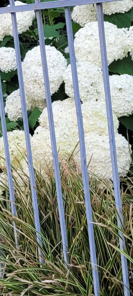 2 bedrooms Apartment in Frankfurt am Main, Germany No. 246079