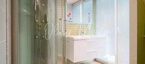 5 bedrooms House in Bantzenheim, France No. 66399 8